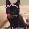 💓 ✨Memes y amor✨ 💓 13