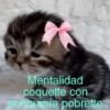 Mentalidad coquette con economía pobrette