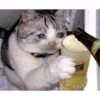 ✨Gatos Cura Depresión 6😻❤️ 10