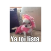 Gatiperros para resonder.  7