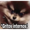 kk
*Gritos internos
