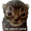 Michis caóticos ⚡😼⚡ 7