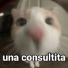 una consultita