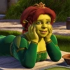Memes Shrek 😎 14