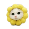☆funny pets 18