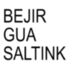 BEJIR GUA SALTINK