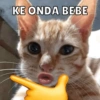 KE ONDA BEBE