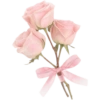 Pink icon 11