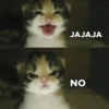 MEMES XD 18