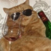 Сумасшедшие кошки 1 28