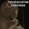 Michis pt.2 20