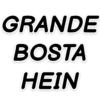 GRANDE BOSTA HEIN