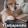 🌀 Perros con Frases 🐕🫧 10