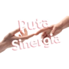 Puta Sinergia
