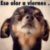 Viernes y el cuerpo lo sabe 😎 11