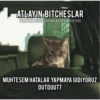 Catsarecute 7