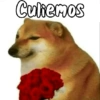 💫 MEMES PACK 1 👻🤑 9