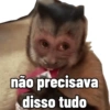 não precisava disso tudo
