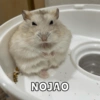 Animalitos🐾🥰 16