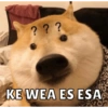 Memes de Firulais🐶💘 11