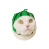 Cats Chapter 1 11