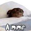 🤯 MEMES CLÁSICOS 1.0  🤵🍷 29