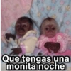 Memes Changuitos🐒 9