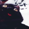 BLACKI BLACKI✧\(>o<)ﾉ✧ 9