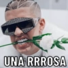 UNA RRROSA