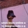💓 ✨Memes y amor✨ 💓 17