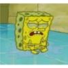 Bob esponja 29