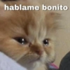 hablame bonito