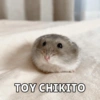 Animalitos🐾🥰 9