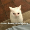 💓 ✨Memes y amor✨ 💓 10