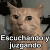 Escuchando y juzgando