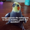 MEMES XD 14
