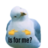 Birds 2.0 17