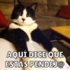 Michis pt.2 17