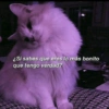 ¿Si sabes que eres lo más bonito que tengo verdad?