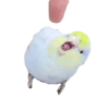 Birds 2.0 10