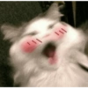 ١١١