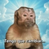 🥭💥 Variados PAL GRUPO 😎🌍 10