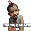 MEMES 12