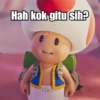Toad 12