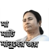 পাটি মানুষের জয়
