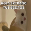 HOLA EXTRAÑO TUS BESITOS