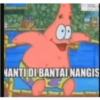 Petrik 21