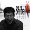 Shibal