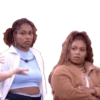 BBB 25 memes  21