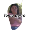 Toma perro
